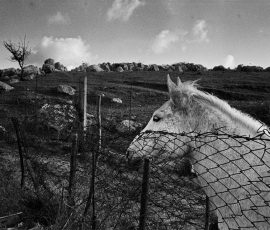 Coumba Freida sicilianatale2019portelladonnasfiera (3)