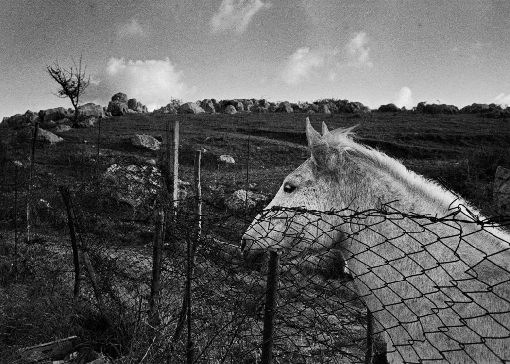 Coumba Freida sicilianatale2019portelladonnasfiera (3)